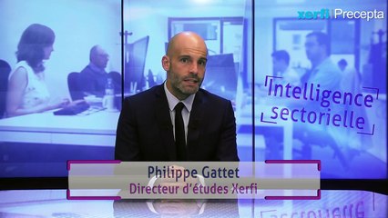 Les défis stratégiques des services à la personne [Philippe Gattet]