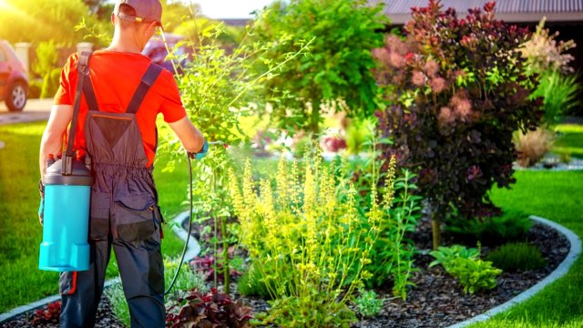 Longwood Lawn Care | 407-986-0058 | Lawn Fertilization