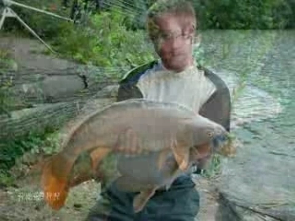carpe 2007