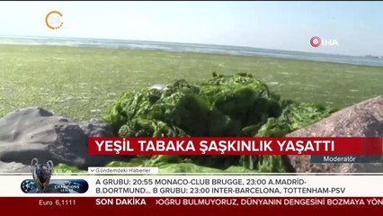Deniz yeşile büründü