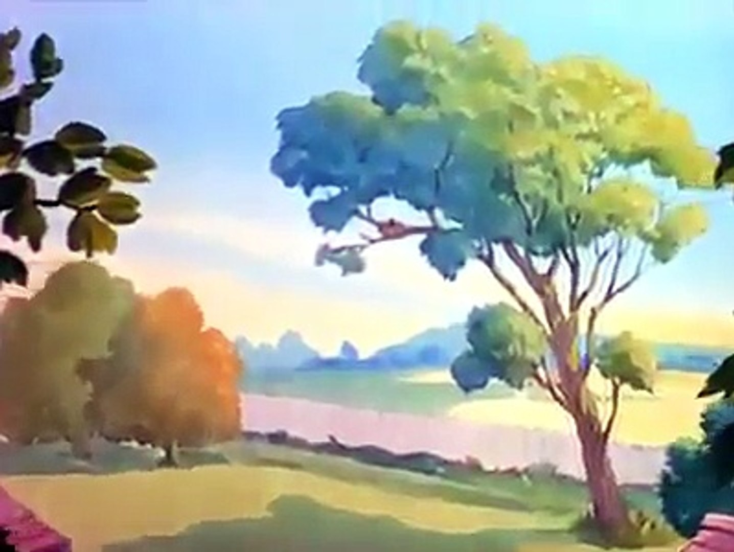 ⁣Tom & Jerry Cartoon
