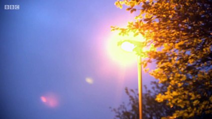 BBC Wild UK Series 1 5 of 5 Cities