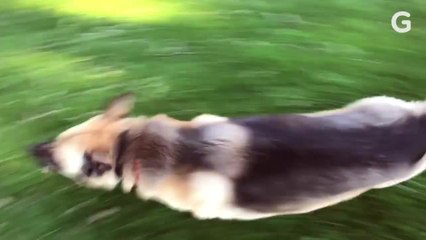 GoPro Hero7 Black: Hands On