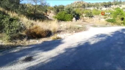 Rahip Santoro"Nun Katilinin Vurulduğu Ormanlık Alan Böyle Görüntülendi