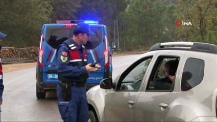 Şile'de yaşanan hayvan vahşetine Jandarma'dan özel ekip