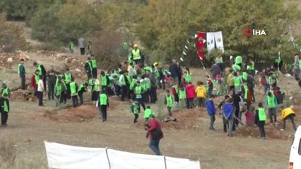 Vali Balcı Göreve Başladığı İlk Gün Fidan Dikti