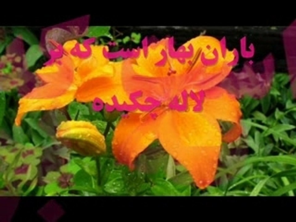 - Hidar salim