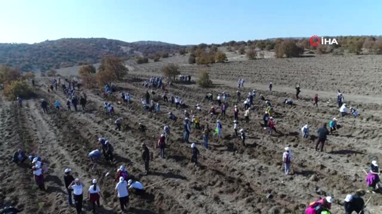 Fidanlar Fidanlarla Büyüyor' Projesi ile Bin Fidan Toprakla Buluştu.