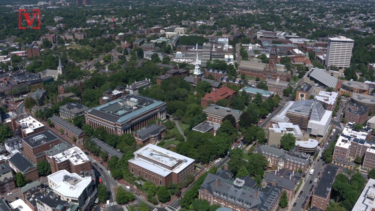 Removal of 100-Year Old Tree Upsets Harvard Students