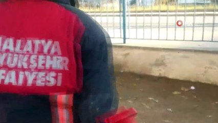 Okulda yılan paniği