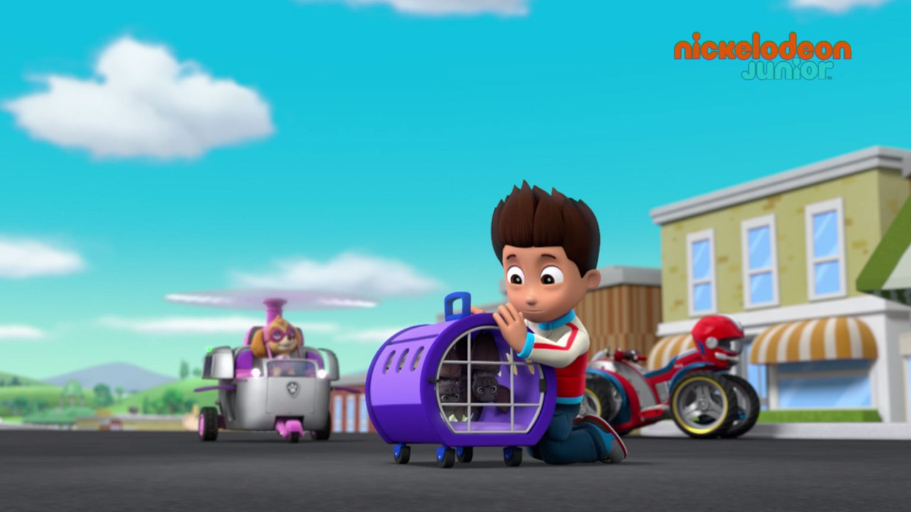 Paw Patrol : la Pat'Patrouille | Bat Patrouille | NICKELODEON JUNIOR
