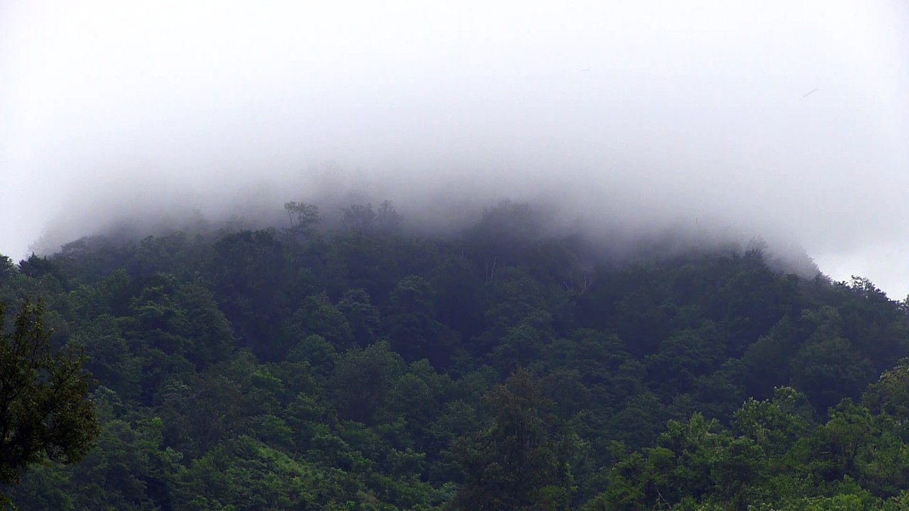 Mountain fog