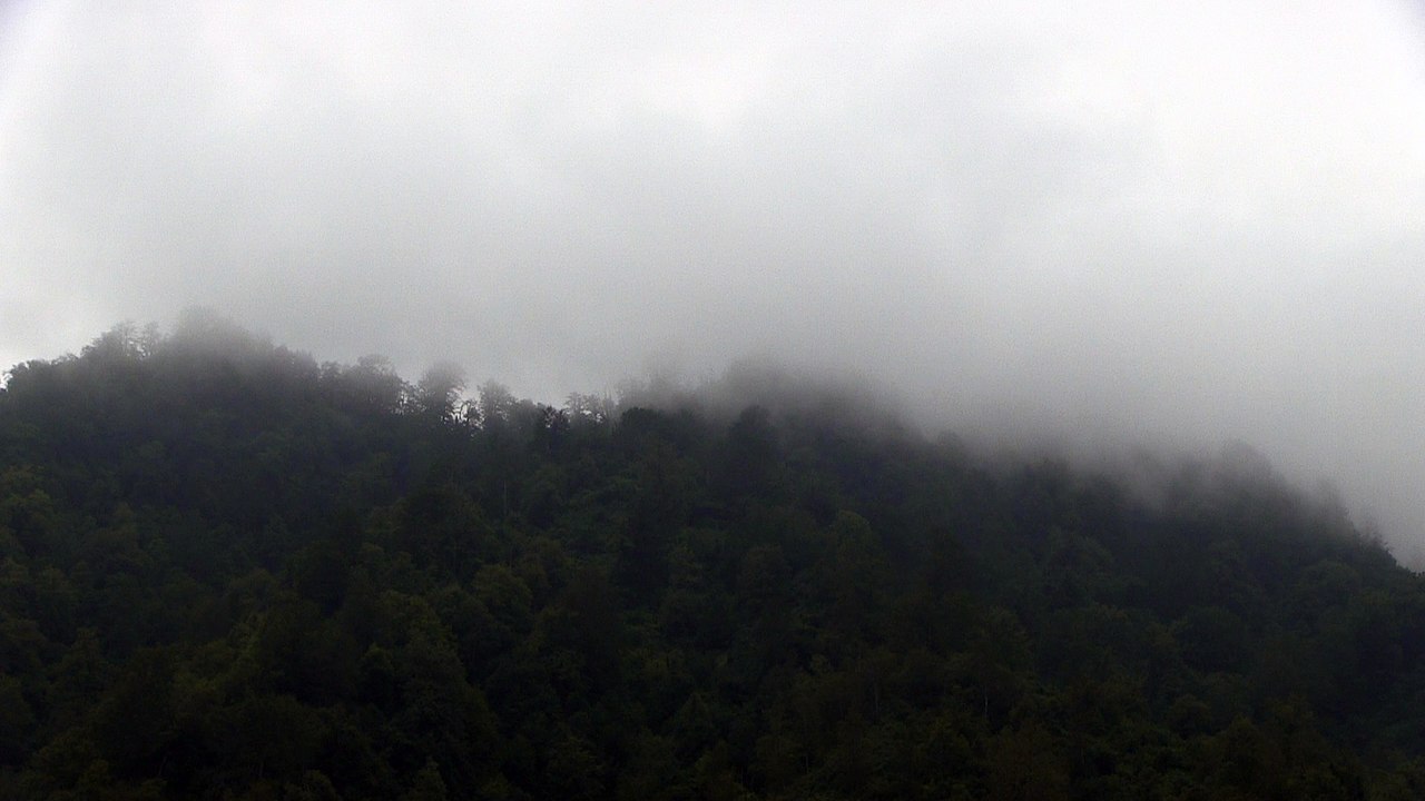 Mountain fog