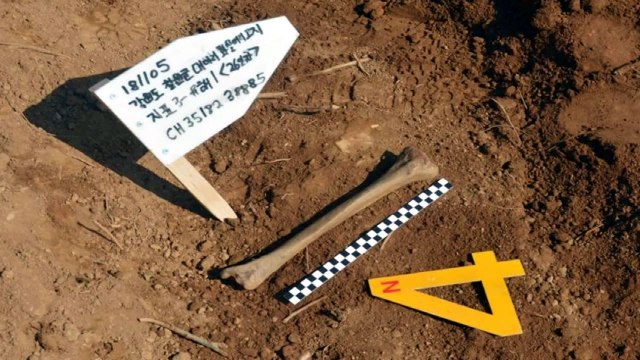 화살머리고지, 6.25 전사자 추정 유해 2구 추가 발견 / YTN