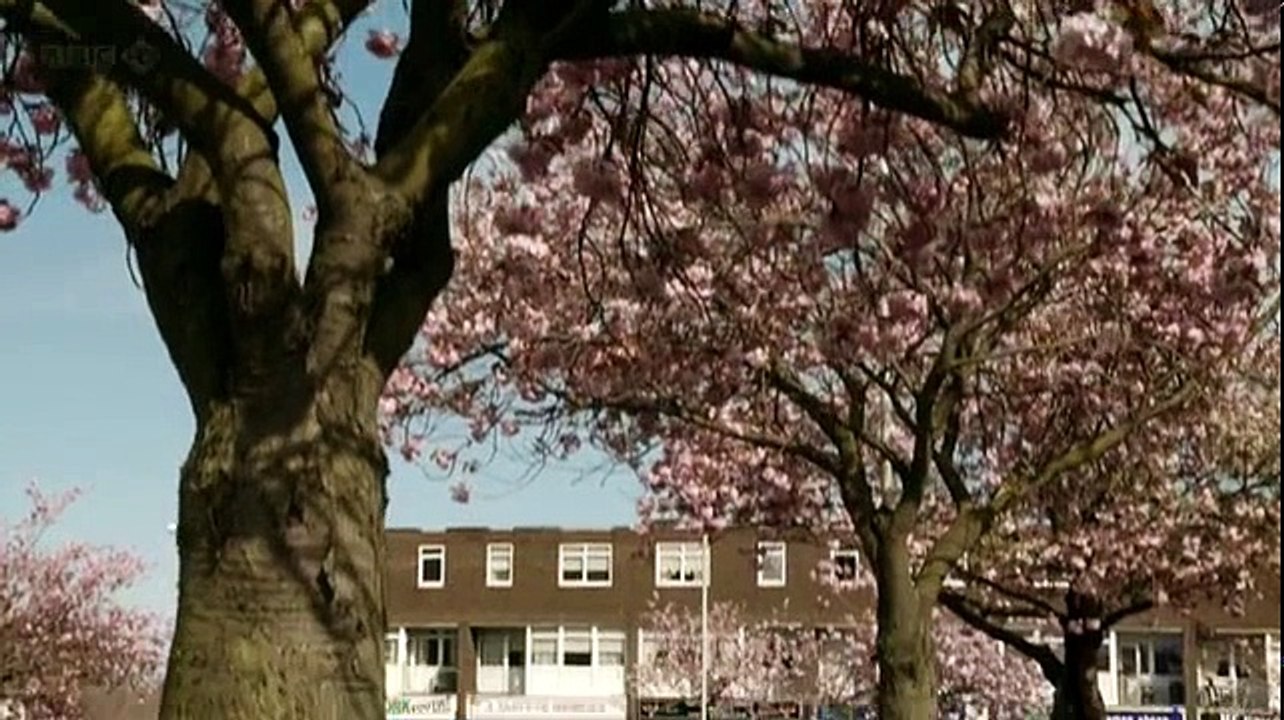 Hebburn S01 E02