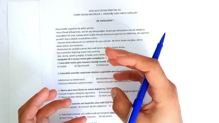 5 Sinif Okuma Becerileri Yazili Sorulari Ve Cozumu 2019