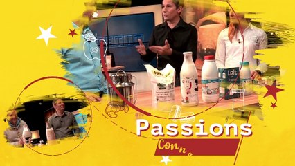 Tout tout tout vous saurez tout sur le Salon du Chocolat !