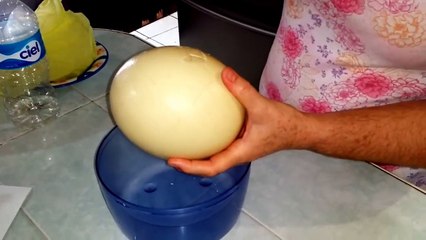 Petite omelette avec un oeuf d'autruche... Pour 10