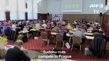 Hundreds compete at world Sudoku championships in Prague