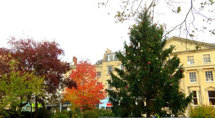 Today's LOCAL LEGEND is Tony Miles!