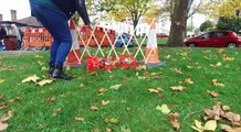 300 Handmade Poppies On The Green For WW1!