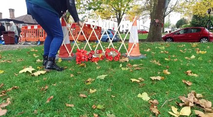 300 Handmade Poppies On The Green For WW1!