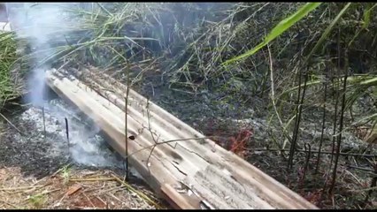 Incêndio é registrado na divisa dos bairros Quebec e Guarujá