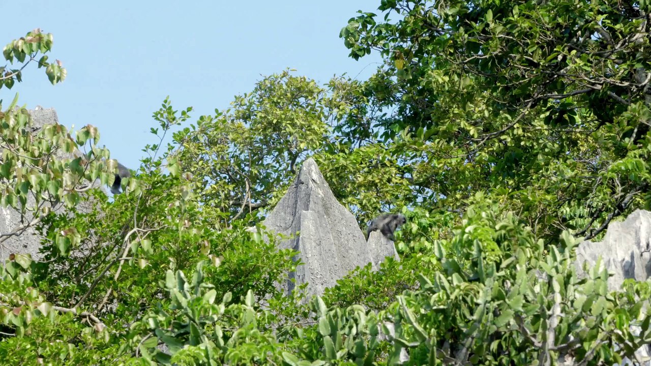 Mysteries of the Mekong Series 1 Part 10 Vietnam The Journeys End