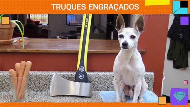 Truques engraçados que vão facilitar sua vida