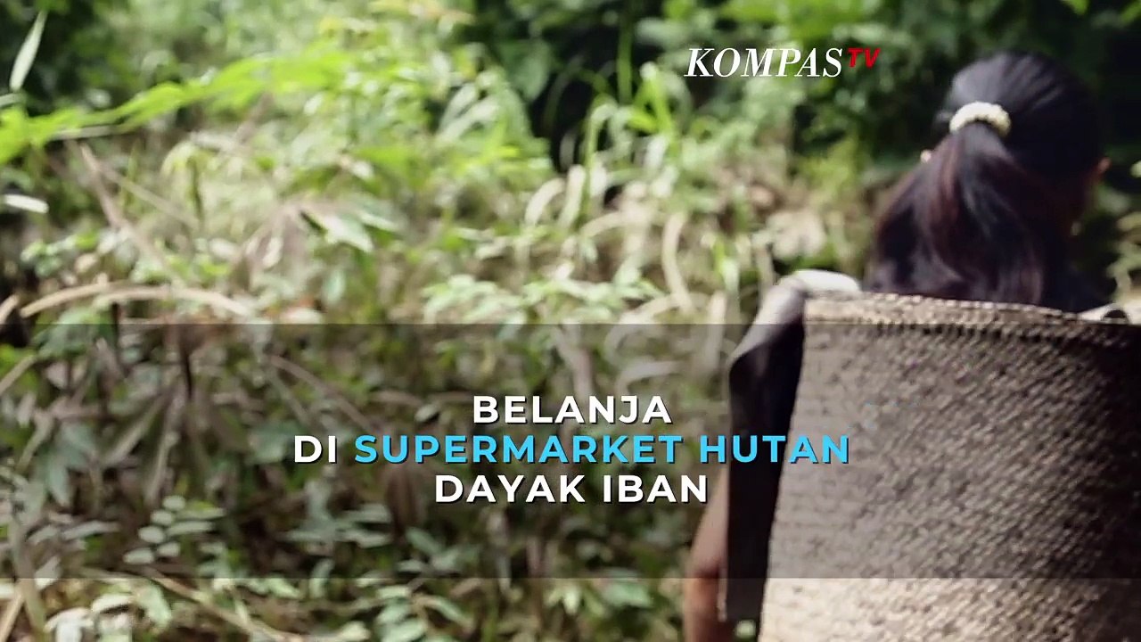 Belanja di Supermarket Hutan Dayak Iban