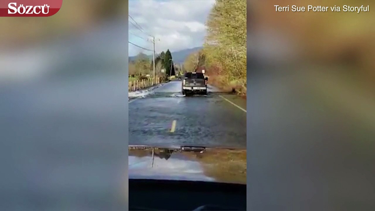 Otoyoldaki balıklar görenleri hayrete düşürdü