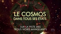 LE COSMOS DANS TOUS SES ÉTATS : Sur la piste des trous noirs manquants