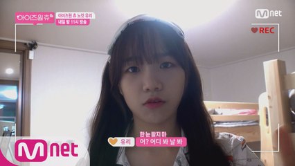 [노컷 영상] 카메라 조련 만렙 쪼율