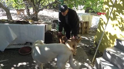 İzmir Kemalpaşa'nın Koca Yürekli İnsanları