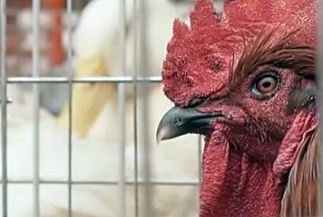 릴게임바다이야기, 야마토인터넷게임 ☸☸ V F V 7 점 C 0 M ☸☸ 황금성사이트