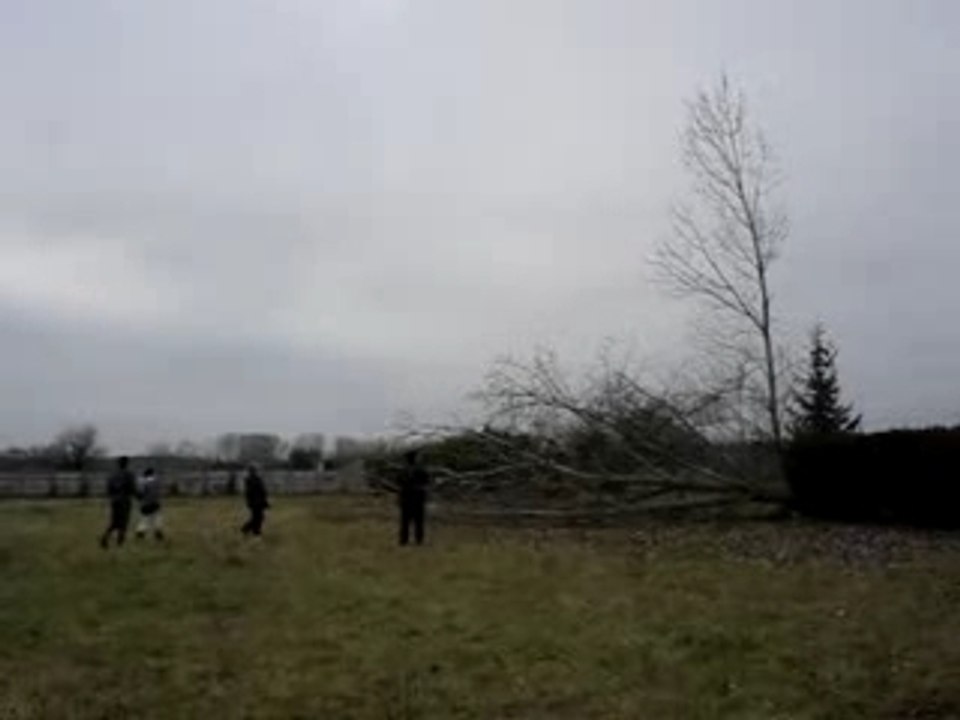 MOV02850