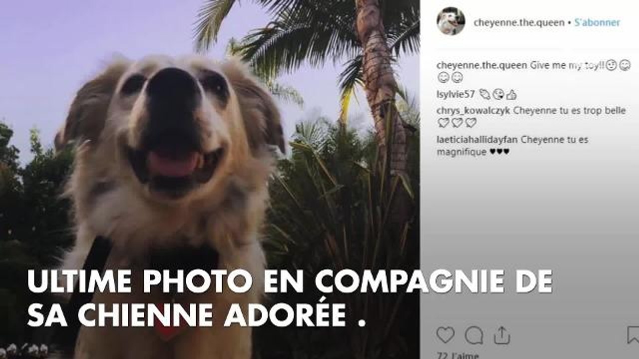 Johnny Hallyday voulait dédier une chanson à sa chienne Cheyenne mais "il n'a pas eu le temps de la faire"