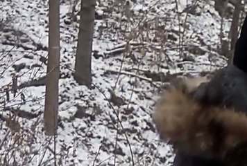 인터넷릴게임추천, 릴게임야마토 ☸☸ V F V 7 점 C 0 M ☸☸ 모바일릴게임