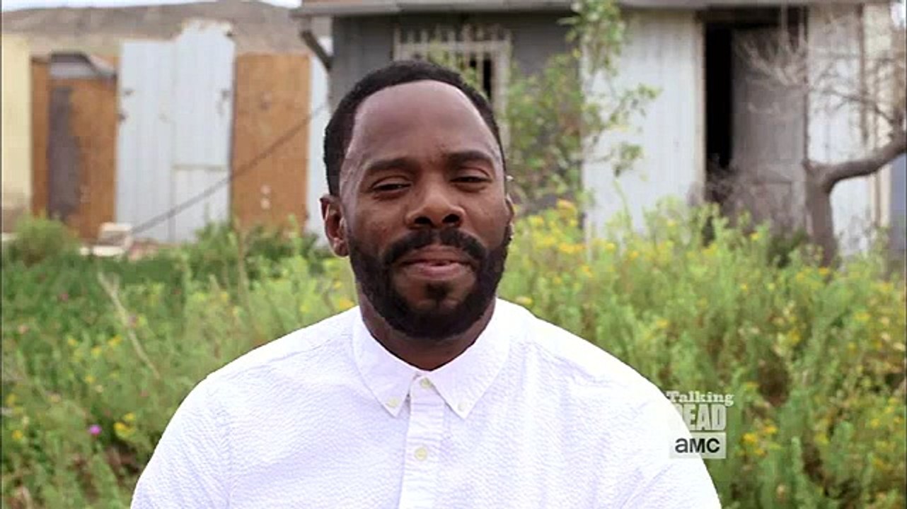 Talking Dead S05e24