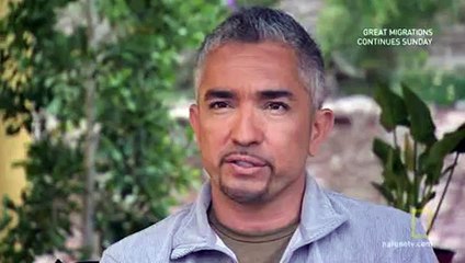 Dog Whisperer With Cesar Millan S07E06