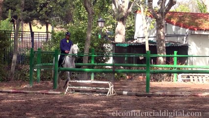 Así mima la Policía Municipal de Madrid a sus caballos
