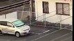 Un sanglier attaque un piéton (Japon)