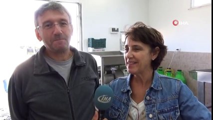 Emekli Çift Zeytinyağı Üretmek İçin Üniversite Okuyor