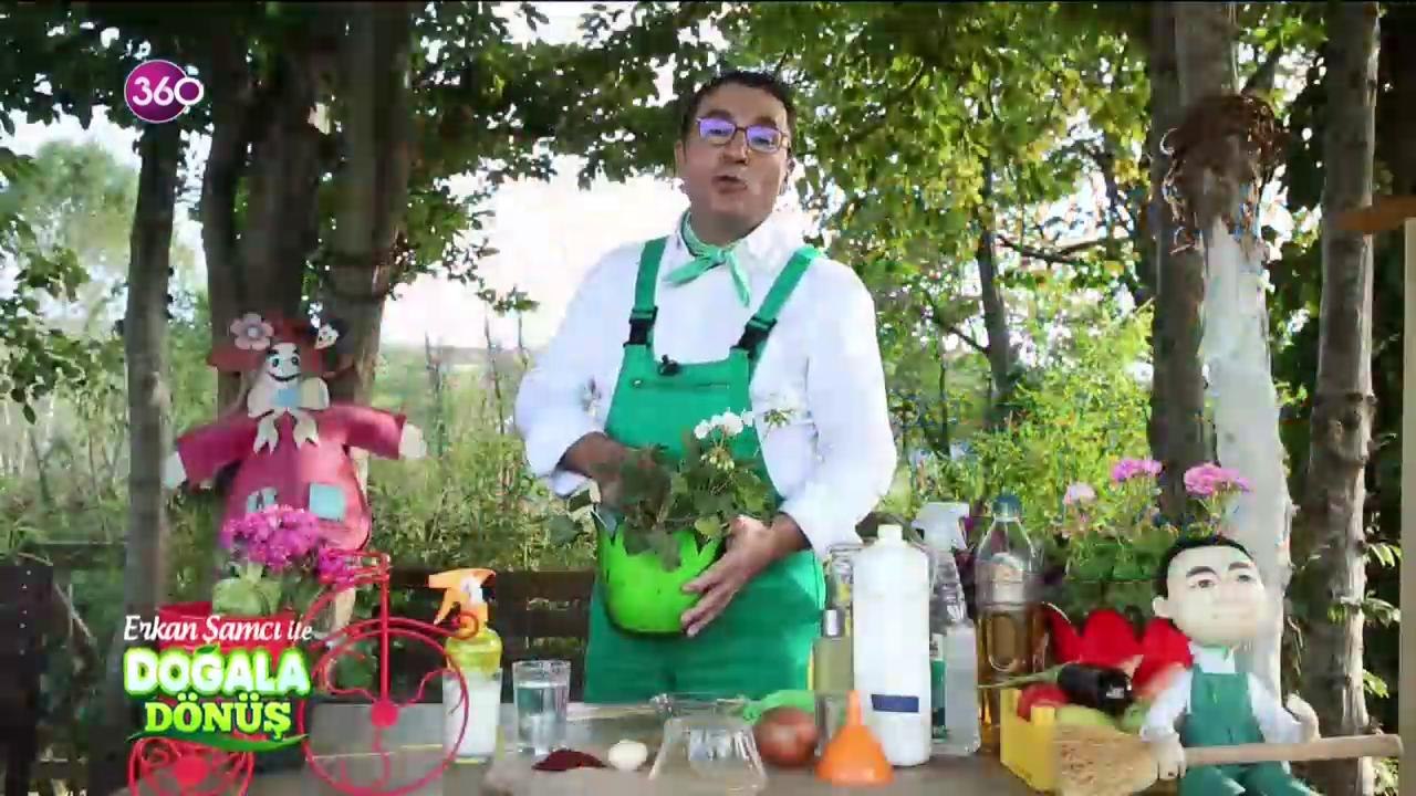 Doğala Dönüş