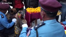 Nepal honours police canines in 'day of the dogs' festival