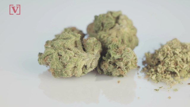 3 States Legalize Marijuana for Recreational or Medical Use, What's Next on a National Level?