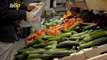 Major Grocery Store to Sell Ugly Produce to Help Fight Food Waste