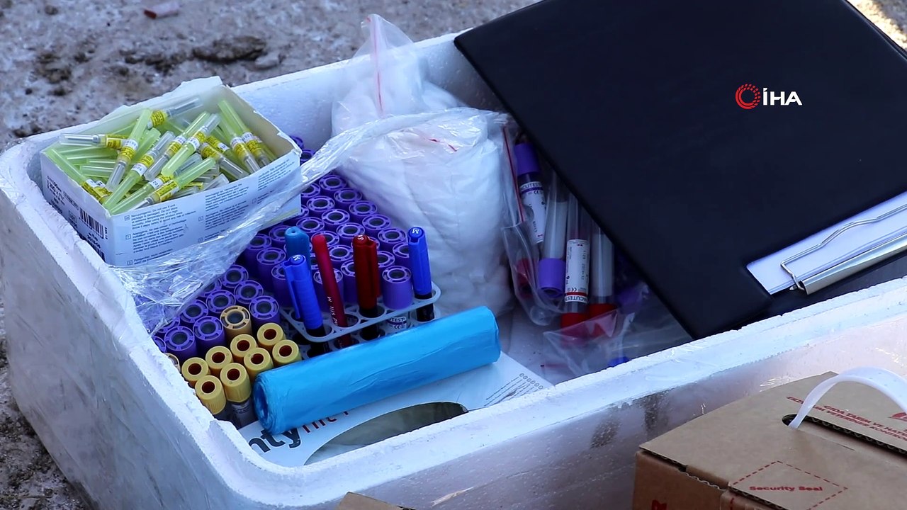 21 büyükbaş hayvanın telef olduğu o ahırda dün gece 2 hayvan daha telef oldu