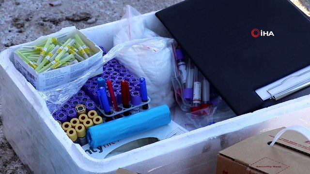 21 büyükbaş hayvanın telef olduğu o ahırda dün gece 2 hayvan daha telef oldu