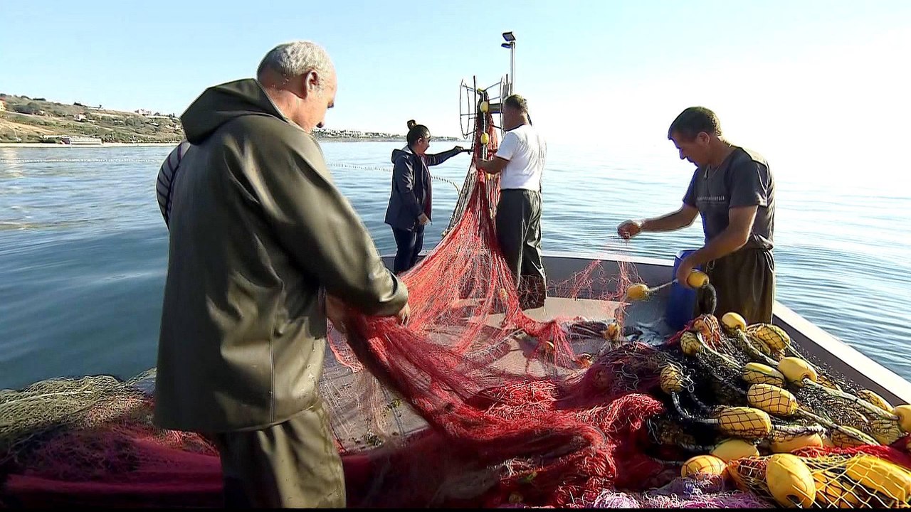 Illegal overfishing affects catch in Turkish waters